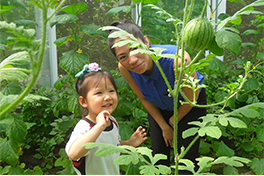 爱迪学校幼儿园课程