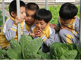 爱迪学校幼儿园课程