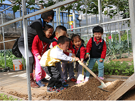 爱迪学校幼儿园课程