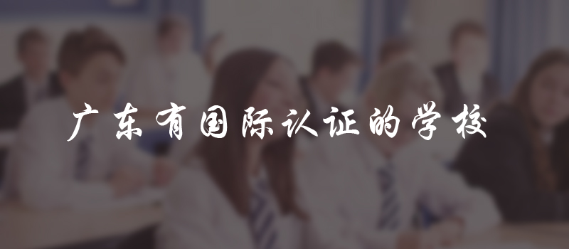 国际学校