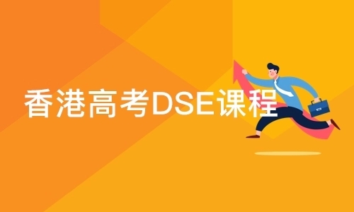 dse课程